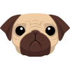 Pug